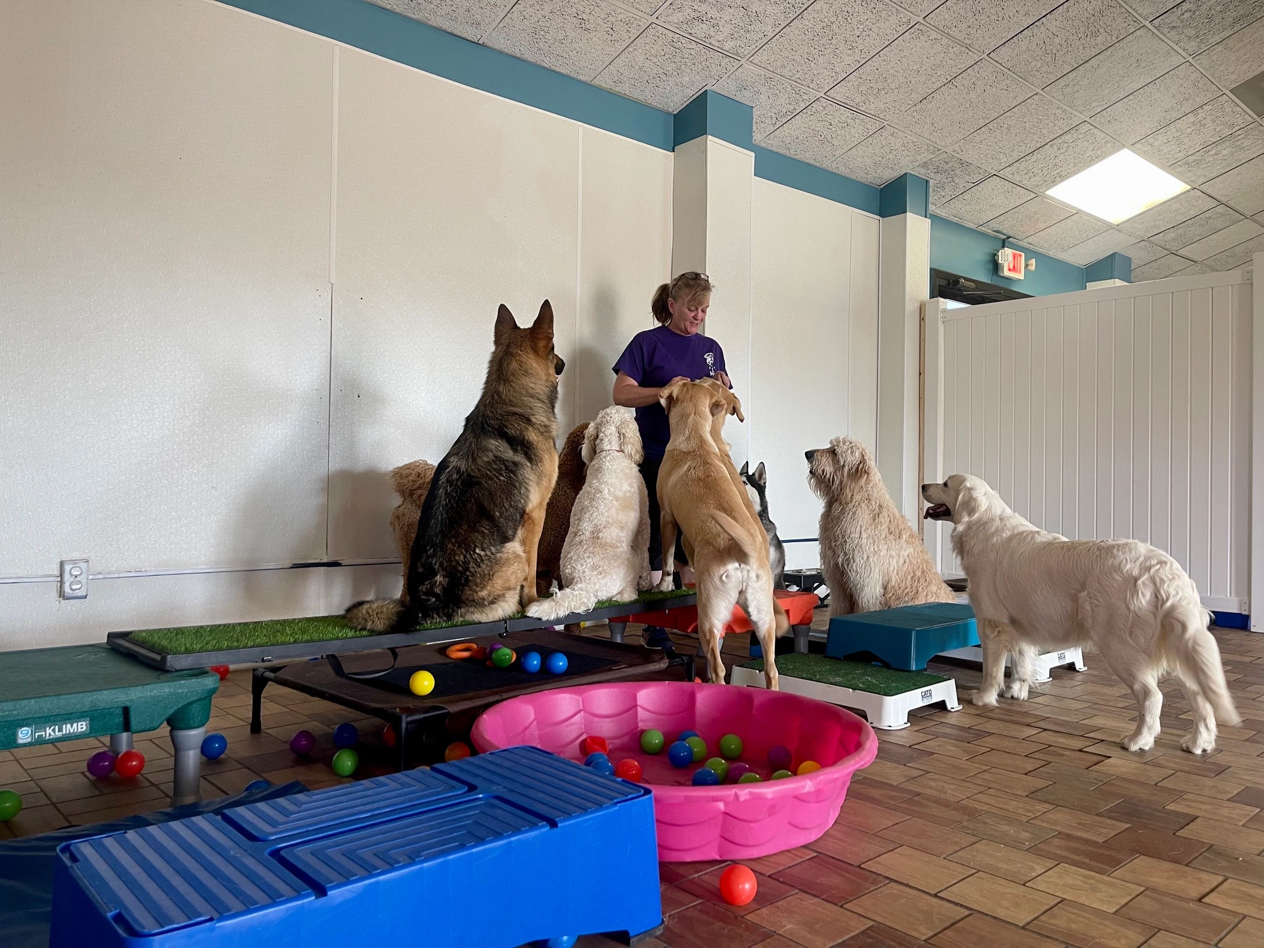 K9 Elite Dog Training Home